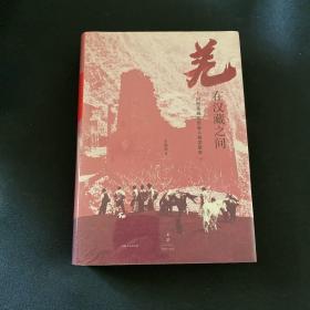 羌在汉藏之间：川西羌族的历史人类学研究（《华夏边缘》作者王明珂经典力作，川西羌族全解）