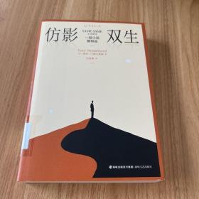 仿影双生：一部小说复制品