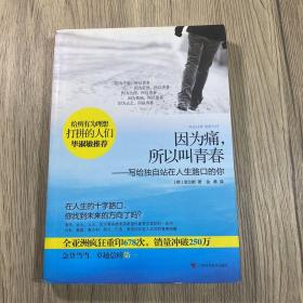 因为痛，所以叫青春：写给独自站在人生路口的你