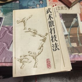 武术散打技法