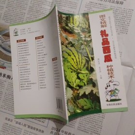 图文精解礼品西瓜种植技术