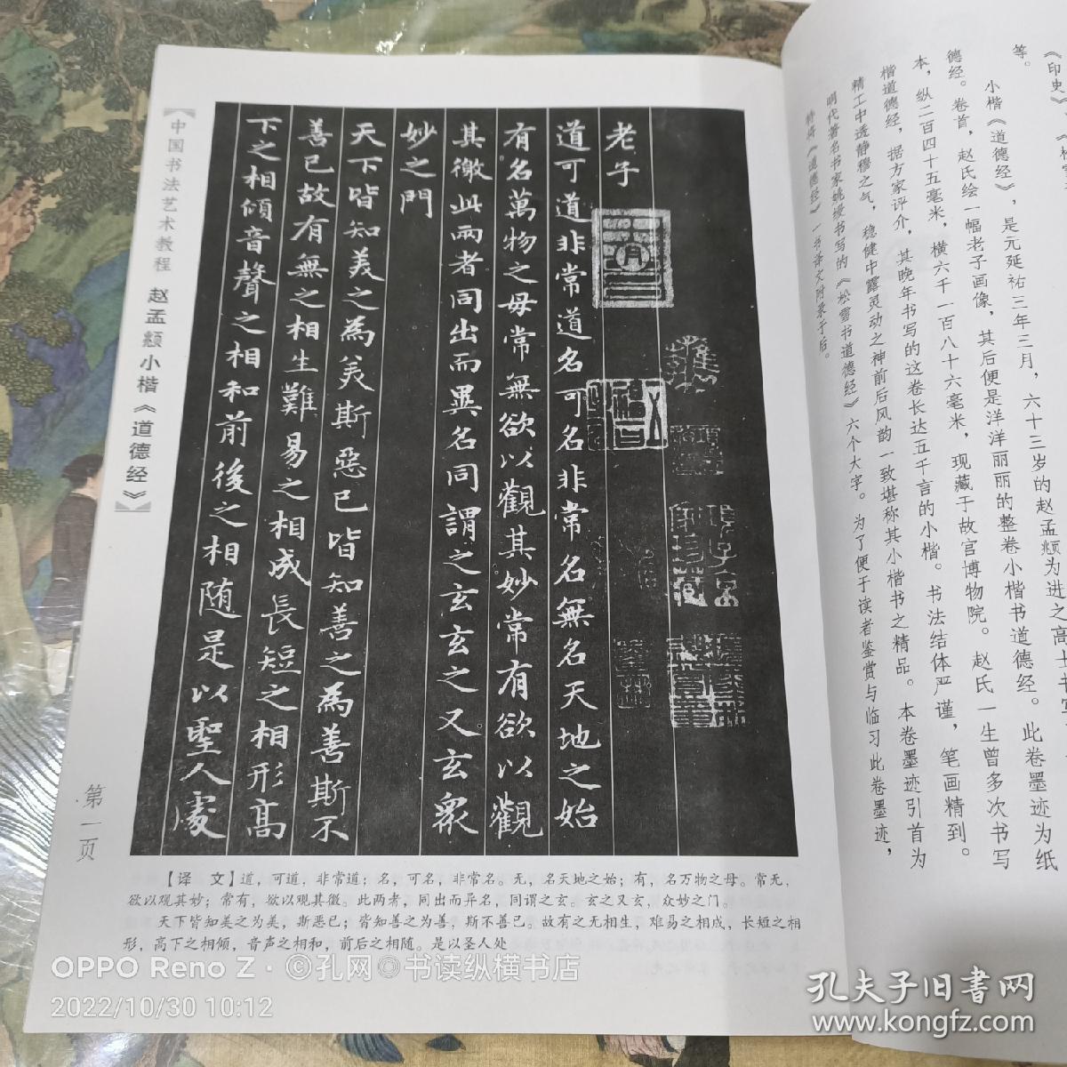 中国书法艺术教程:赵孟頫小楷《道德经》