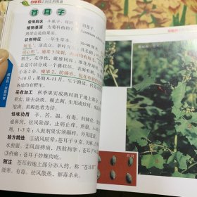 中草药识别应用图谱（第2版）