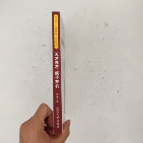 天才在左 疯子在右：国内第一本精神病人访谈手记