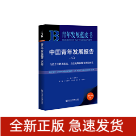 青年发展蓝皮书：中国青年发展报告NO.4