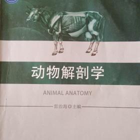 动物解剖学