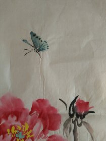 蝶恋花，手绘