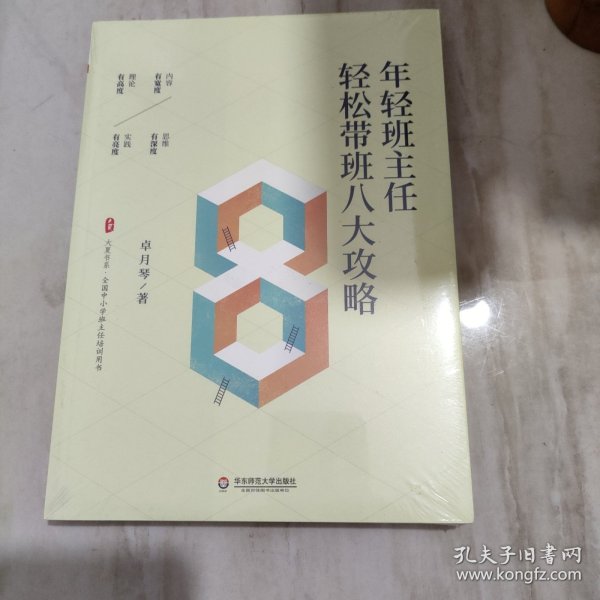 年轻班主任轻松带班八大攻略（全国中小学班主任培训用书） 大夏书系