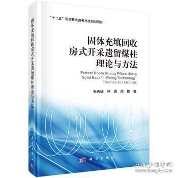 固体充填回收房式开采遗留煤柱理论与方法