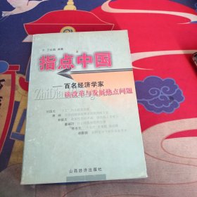 指点中国:百名经济学家谈改革与发展热点问题