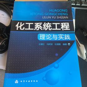 化工系统工程理论与实践