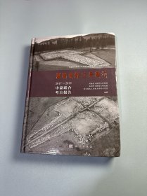 高勒毛都2号墓地：2017-2019中蒙联合考古报告
