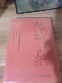 情境教育三部曲 田野上的花朵 对话：情境教学的萌发（精装版）