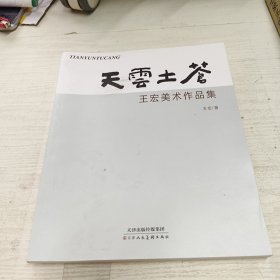 天云土苍王宏美术作品集