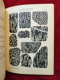 民国21年国立北平研究院<中国南部二叠纪珊瑚化石>道林纸印、中文简介、英文,有柯罗版大图16张,净重1公斤,稀见黄汲清院士著作