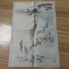 小池