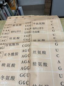 氨基酸的遗传密码  教育挂图   散页   漂亮  便宜  1950到1960年代老版  具体看照片！D