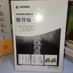 腰背痛 丛书主编巴西路易斯·罗伯托·维埃勒等 著 海涌 郑召民 编 海涌 郑召民 译