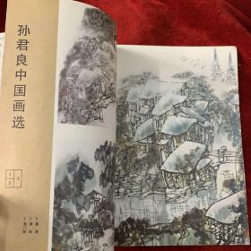 《江苏》画刊：当代中国花鸟画邀请展作品选：
王明明 金鉴才  赵梅生  米春茂  郑岩  黄格胜  韩文来  祝焘  房世均  江虹  黄耿新
姑苏画家—孙君良
孙君良中国画选