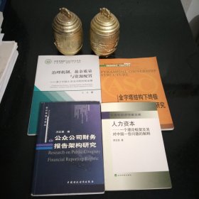 2006金字塔结构下终极所有权与控制权研究，治理机制.盈余质量与资源配置.基于中国上市公司的经验证据16开，人力资本.一个理论框架及其对中国一些问题的解释，公众公司财务报告架构研究大32开，4本