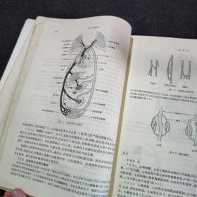 高等医药院校教材：正常人体解剖学，西医内科学基础，经络学，中医诊断学，针灸治疗学，药理学，病理学，推拿学，中药学【9本合售】大16开本