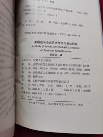 美国成长小说艺术和文化表达研究