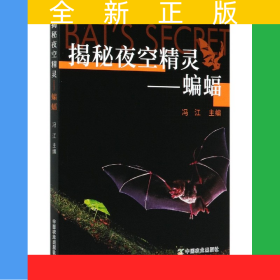 揭秘夜空精靈--蝙蝠