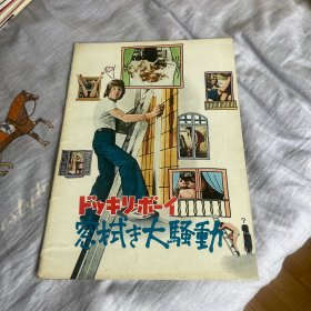 电影场刊 一个偷窥狂的自白 Confessions of a Window Cleaner