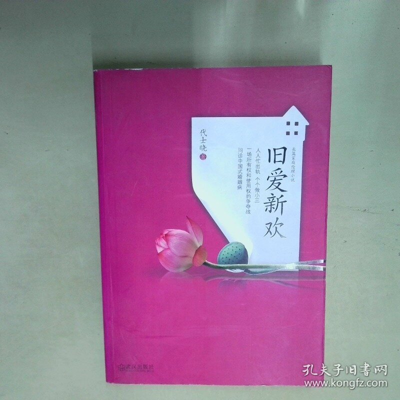 旧爱新欢  代士晓 武汉出版社