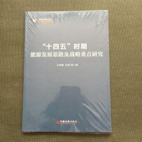 “十四五”时期能源发展思路及战略重点研究