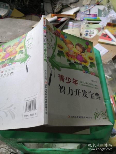 青少年智力开发宝典