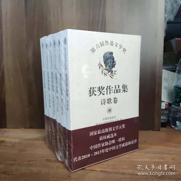 第六届鲁迅文学奖获奖作品集·中短篇小说卷