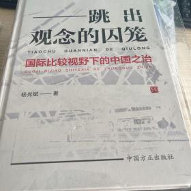 跳出观念的囚笼：国际比较视野下的中国之治