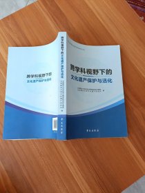 跨学科视野下的文化遗产保护与活化