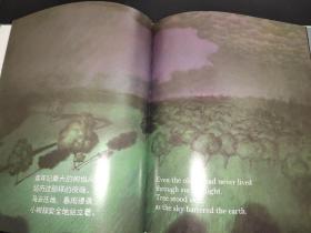 洪恩点读笔系列：最后一支舞、树小故事大事情、池塘里面一窝蛙、大屁股女王  存4本合售