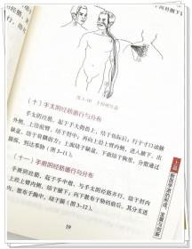 zy21【若不是正版，退货包邮】从软组织外科学到筋学 探求中西医结合新路 中国中医药出版社