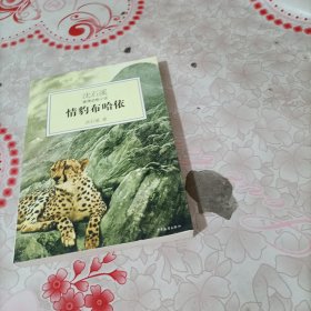 情豹布哈依：沈石溪激情动物小说