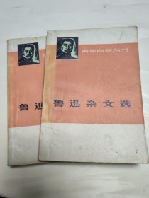 鲁迅杂文选上下册
