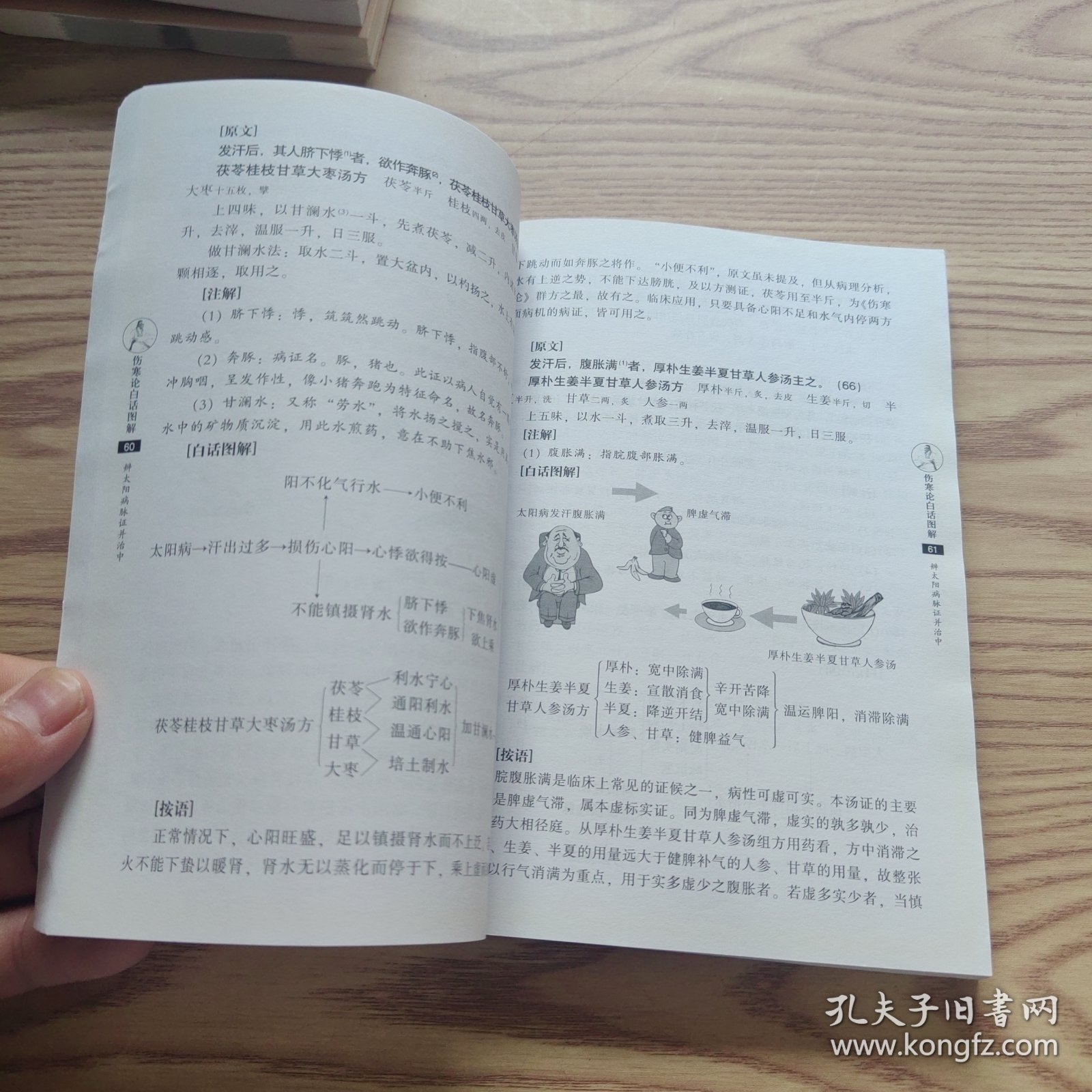 伤寒论白话图解