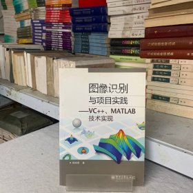 图像识别与项目实践――VC++、MATLAB技术实现