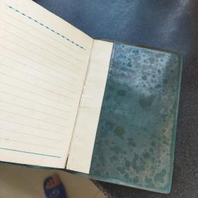 日记本~革命烈火燃全球~有插图