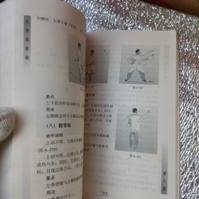 八极拳教程：霍氏八极拳传统训练方法揭秘