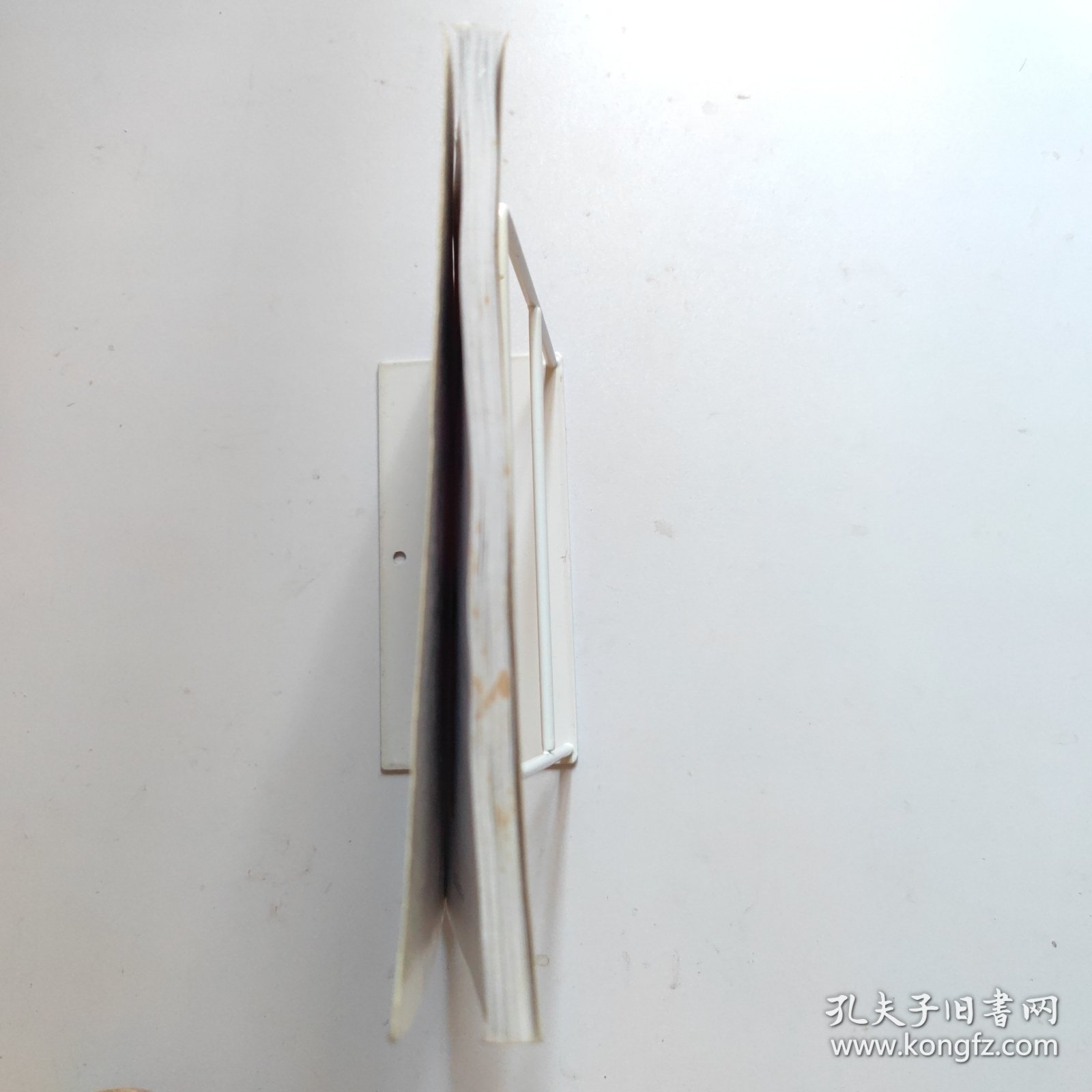 幼儿智能总动员/幼儿益智丛书
