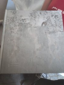 任运成象 王子锟山水画集