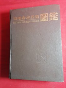 湖南森林昆虫图鉴