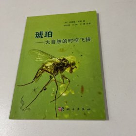 琥珀：大自然的时空飞梭