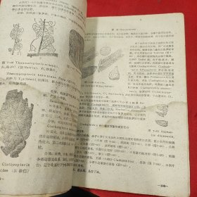 古植物学附孢粉分析 上下册