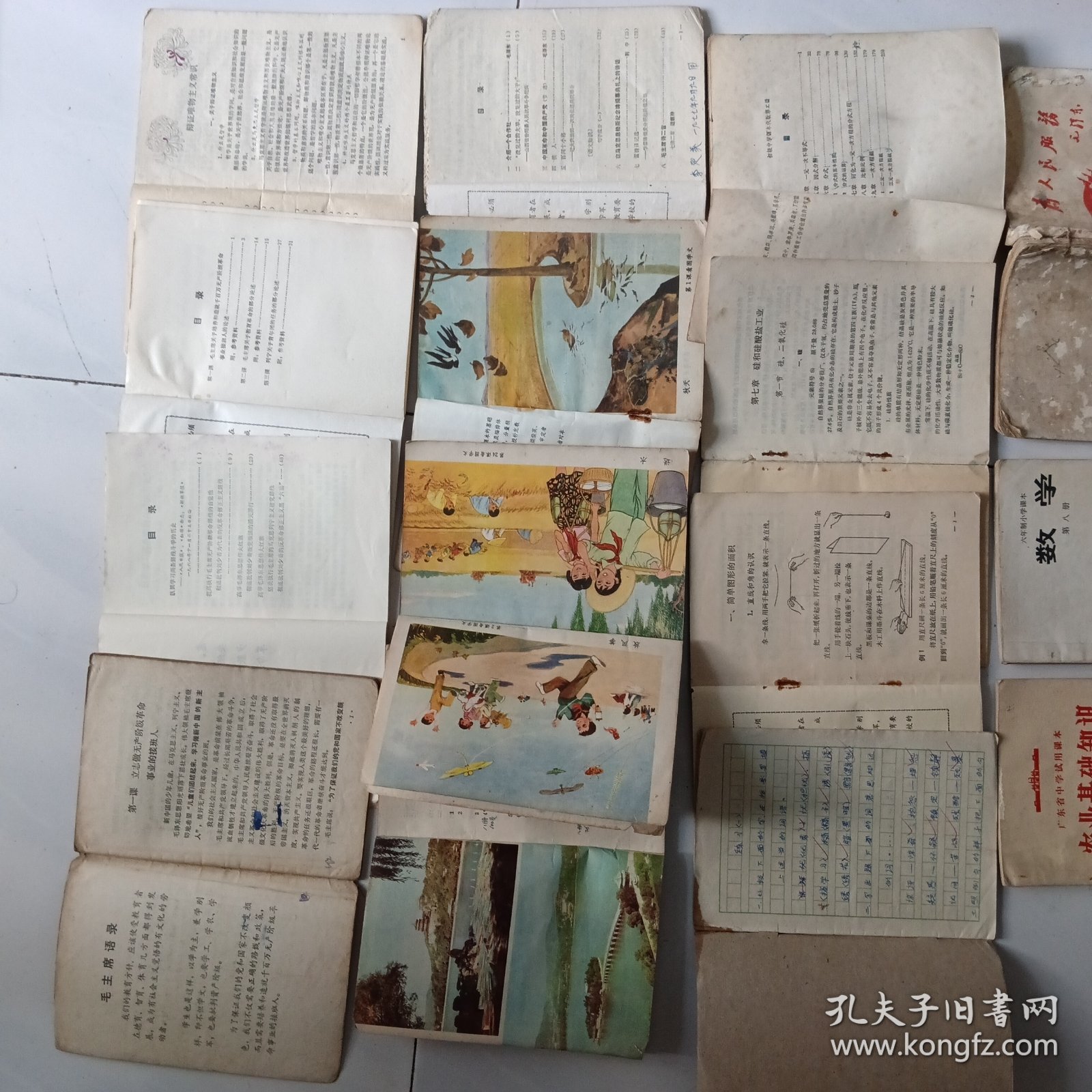1960/70/80年代中小学语文、数学、政治、英语、历史、地理、社会发展史、农业基础、化学等24册教材合售