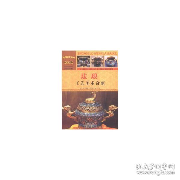 中国文化百科 国宝器物 珐琅：工艺美术奇葩（彩图版）