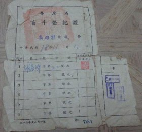 1969年 台灣省畜牛登記證（殘缺）